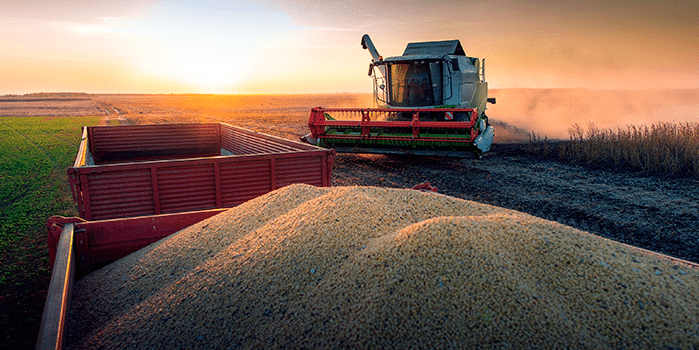 Ultragaz oferece inovação para secagem de sementes de soja