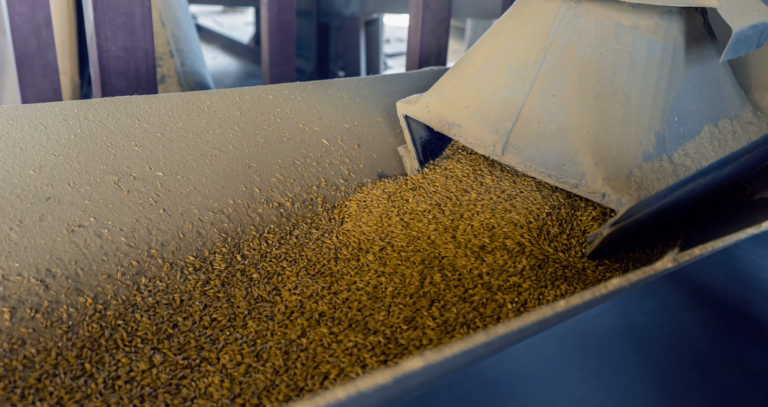 Tecnologia beneficia processo de secagem de sementes de soja