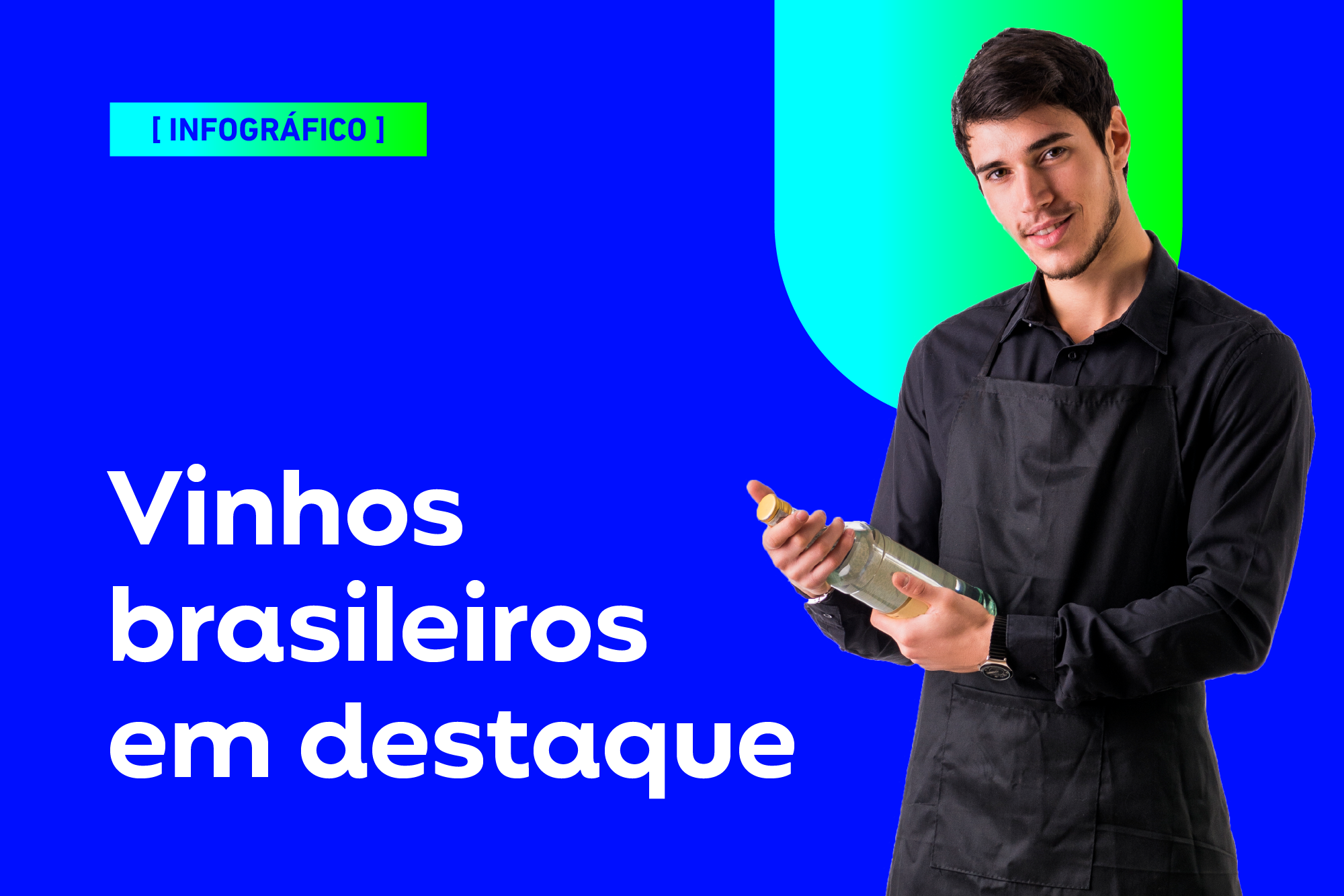 Vinhos brasileiros em destaque