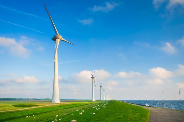 Fonte energética: confira os principais tipos e exemplos